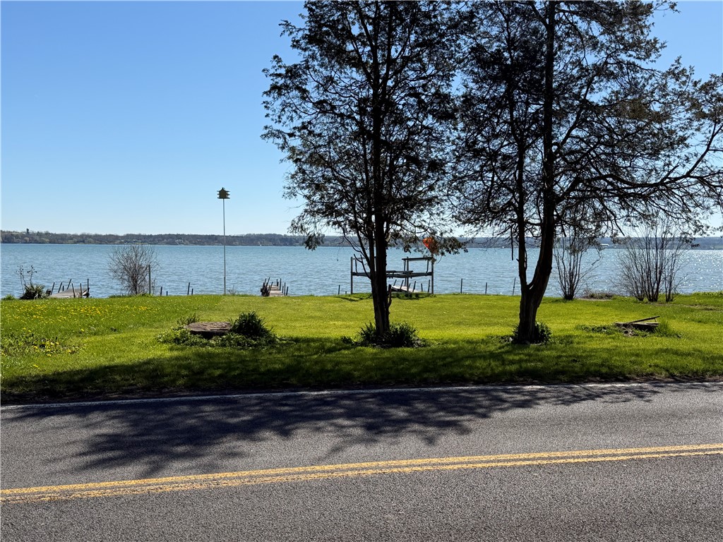 0 Lower Lake Road Seneca Falls, NY 13148 - Photo 18 of 19
