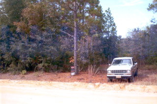 0 Holley Pond Road Batesburg, SC 29006 - Photo 1 of 1