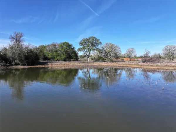 a view of a lake in middle of forest