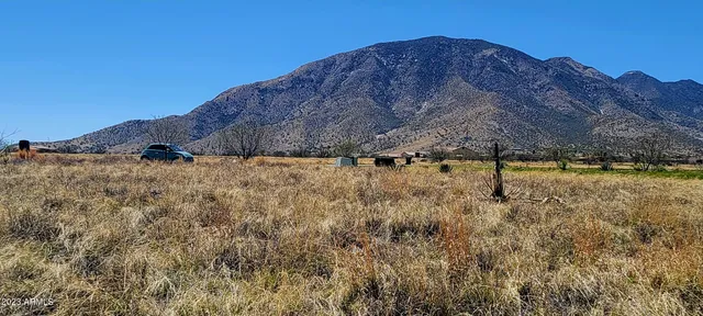 a view of a dry yard with mountain