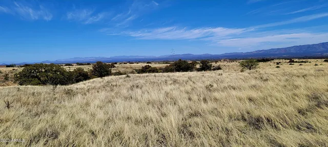 a view of a dry yard with wooden fence