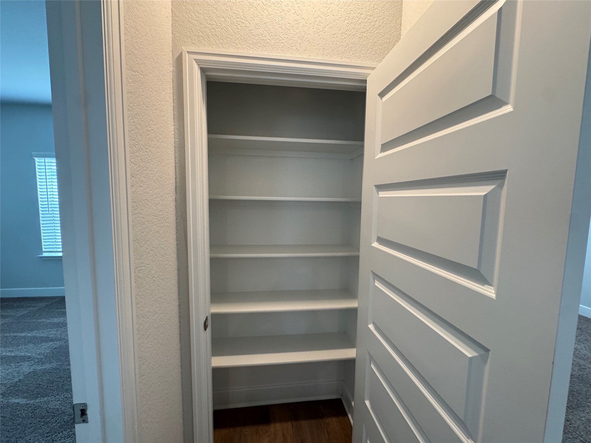 3000 Chisholm Trail Road, Unit 33 Round Rock, TX 78681 - Photo 29 of 31 a view of walk in closet with empty racks
