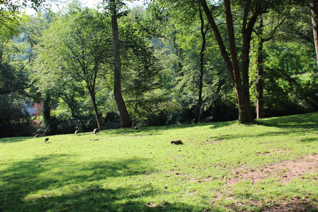 1345 Hilltop Road Murphy, NC 28906 - Photo 18 of 62