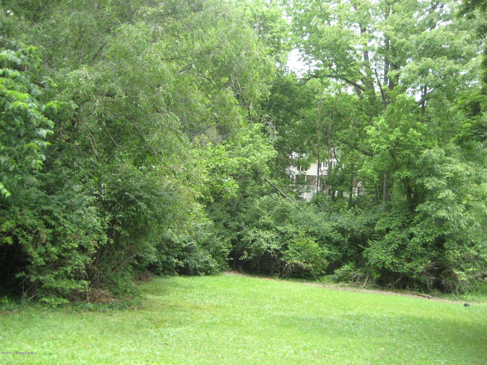 611 Indian Ridge Road Louisville, KY 40207 - Photo 13 of 20 Back yard