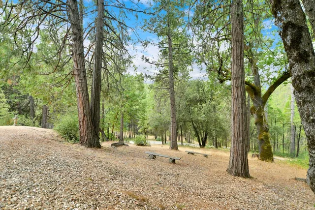 $498,000 | 17533 Humbug Creek Road, Glencoe, CA 95232