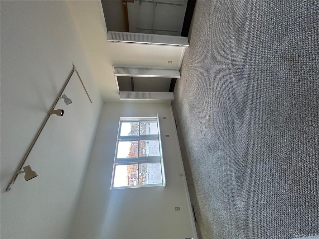 25 South Division Street Peekskill, NY 10566 - Photo 12 of 20 Unfurnished bedroom featuring rail lighting, two closets, and light colored carpet