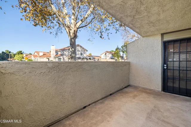 a view of a tree with a big mirror