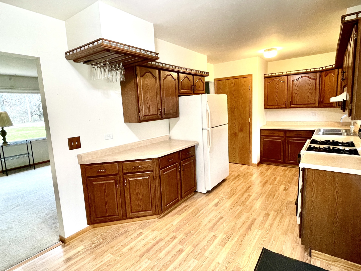 38W480 McDonald Road Elgin, IL 60124 - Photo 3 of 15