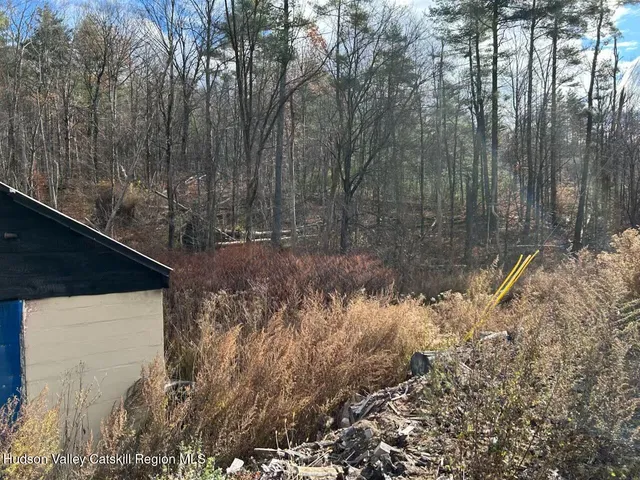 a view of a backyard of the house