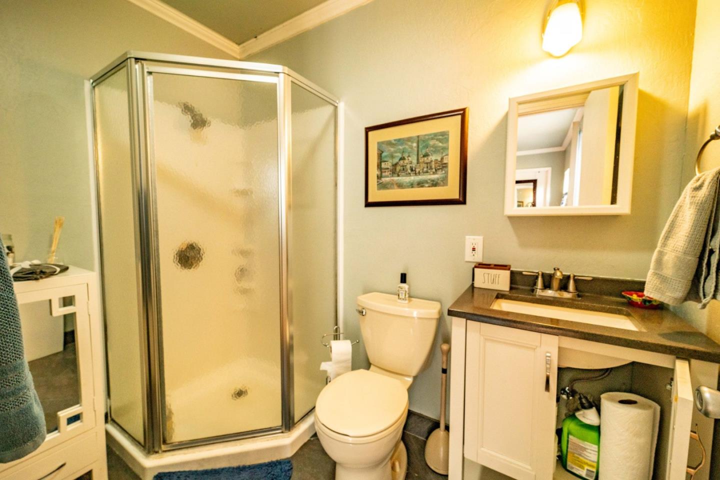 9110 Burchell Road Gilroy, CA 95020 - Photo 52 of 52 a bathroom with a sink mirror vanity and toilet
