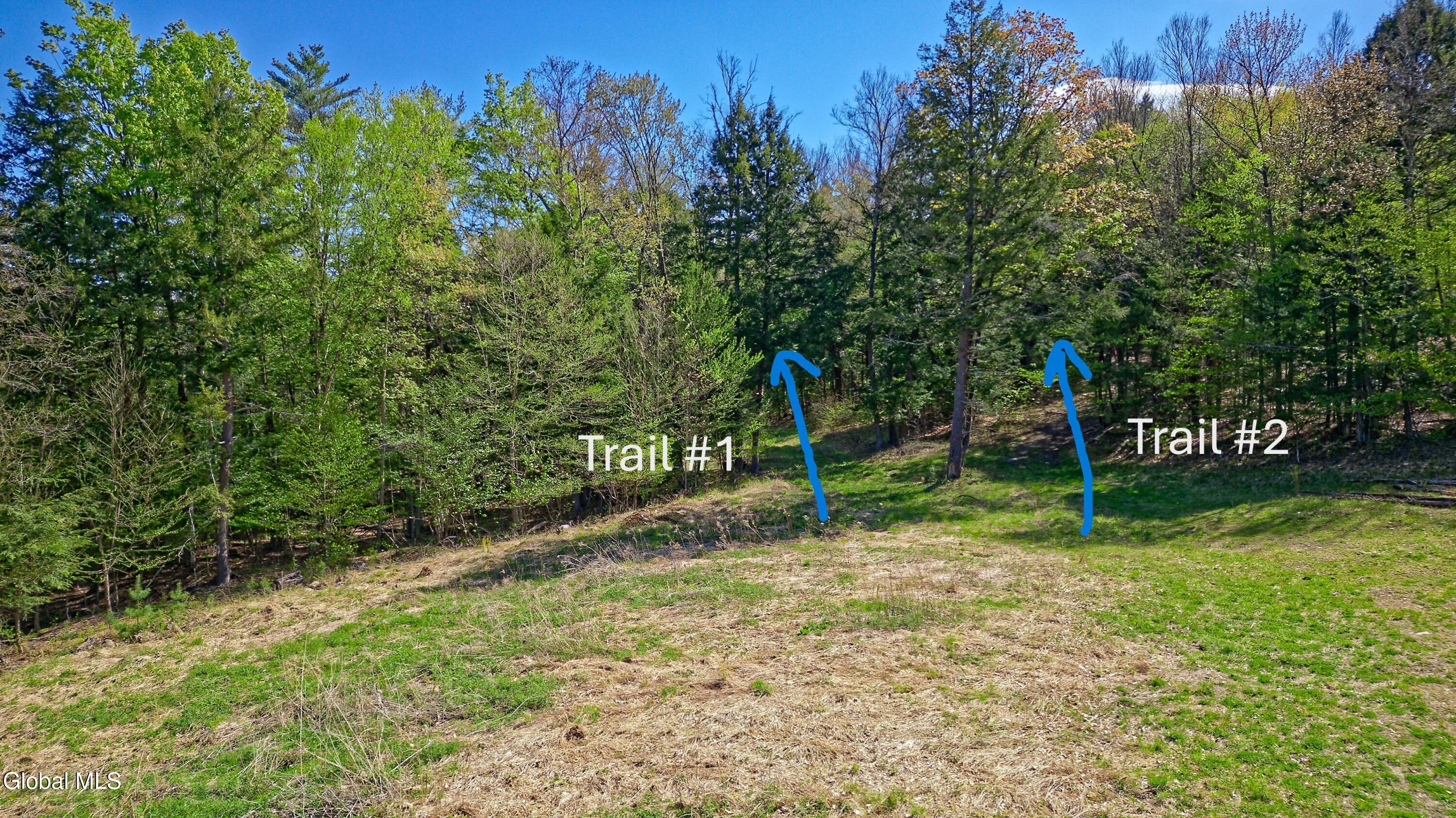 77 King Road Greenfield, NY 12833 - Photo 10 of 25 Marked trails from ground level
