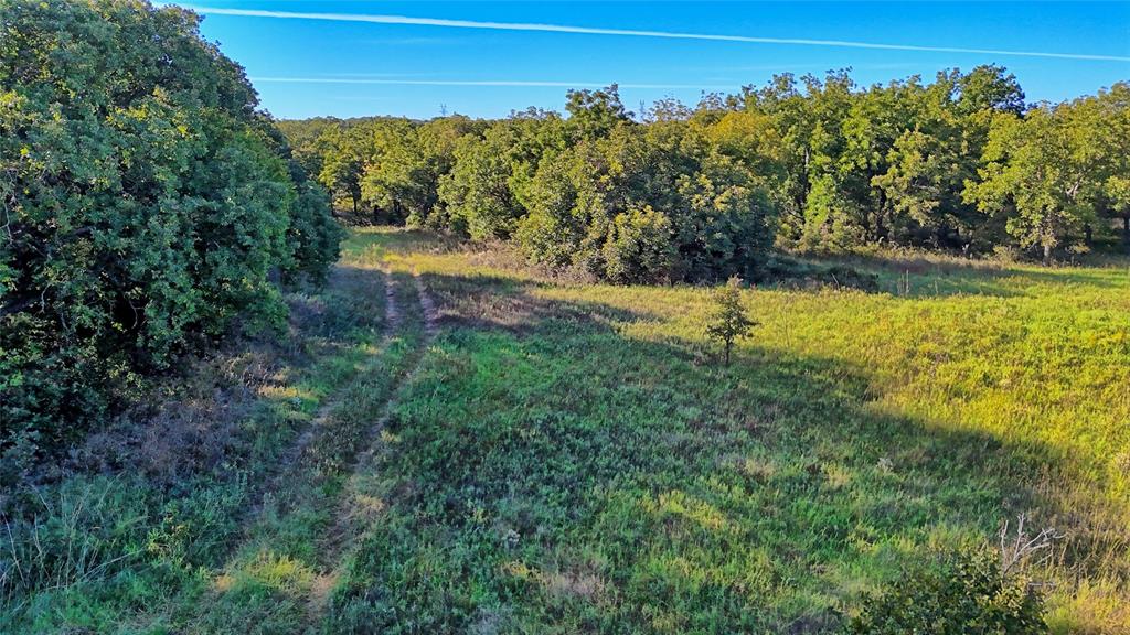 4 4 Wire Road Bowie, TX 76230 - Photo 29 of 39 a view of a yard with a tree