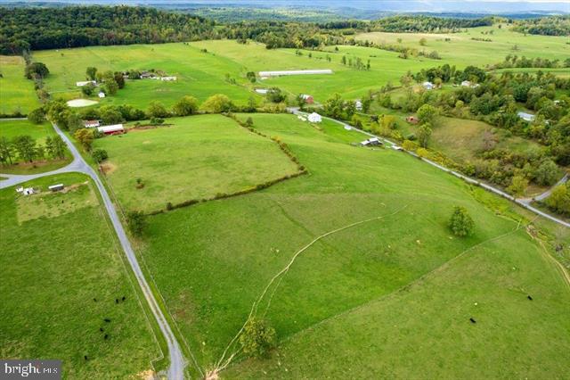 Tbd Knupp Road Mount Jackson, VA 22842 - Photo 2 of 11 a view of a field with plants