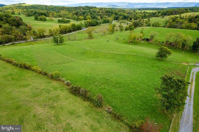 Tbd Knupp Road Mount Jackson, VA 22842 - Photo 5 of 11 a view of a green field with lots of green plants