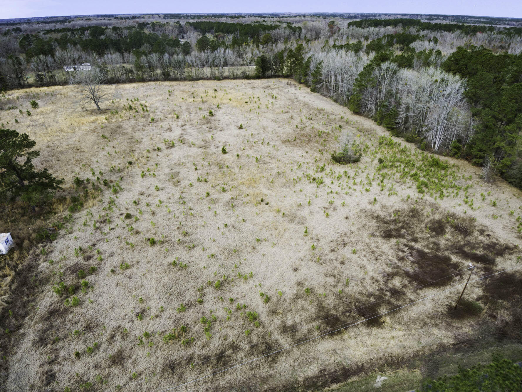 0 Burr Hill Road Cottageville, SC 29435 - Photo 3 of 8 Lot 1 (3)