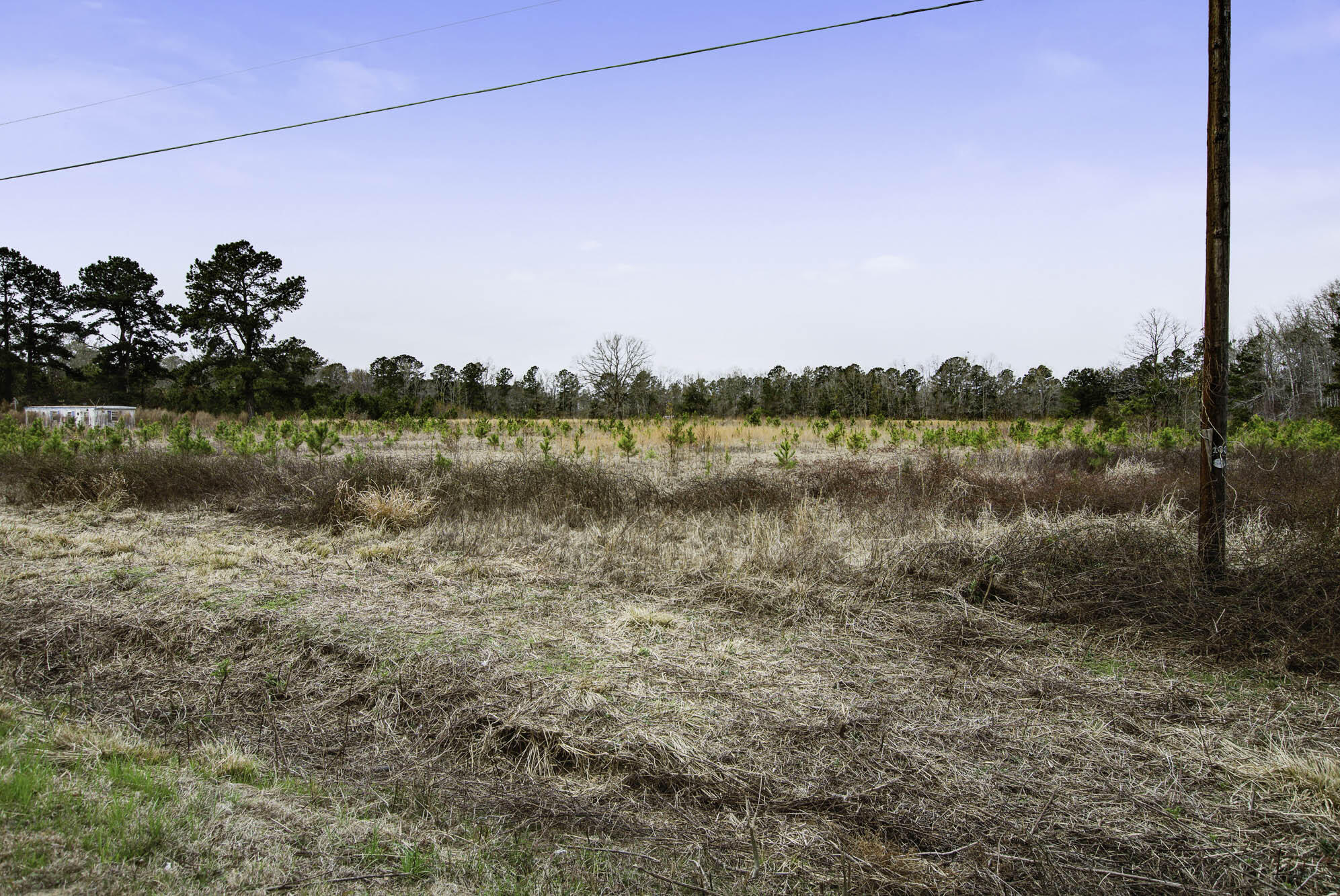 0 Burr Hill Road Cottageville, SC 29435 - Photo 5 of 8 Lot 1 (5)