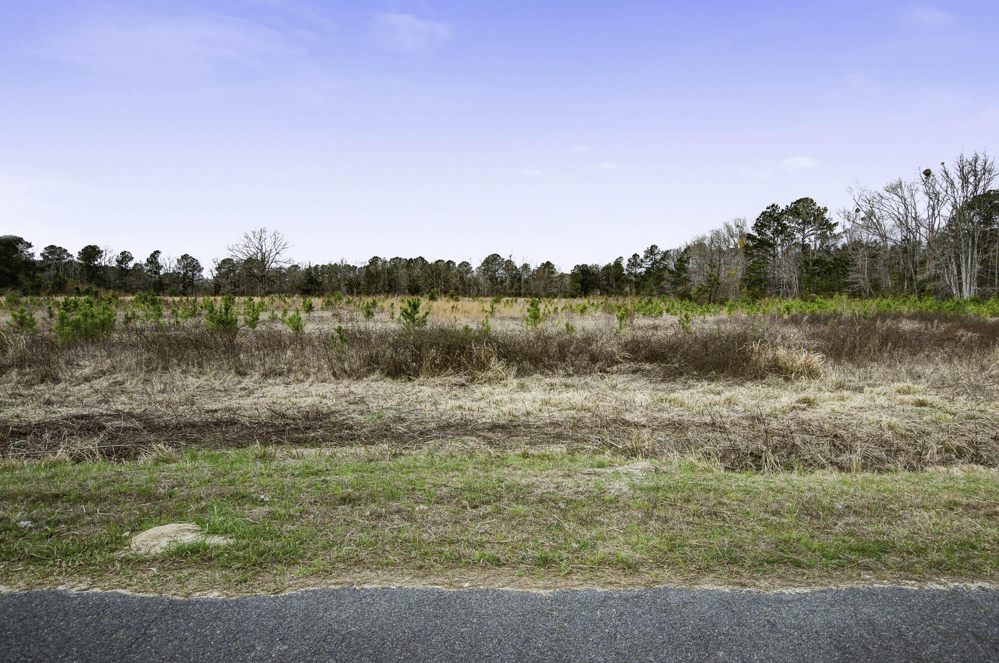 0 Burr Hill Road Cottageville, SC 29435 - Photo 6 of 8 Lot 1 (6)