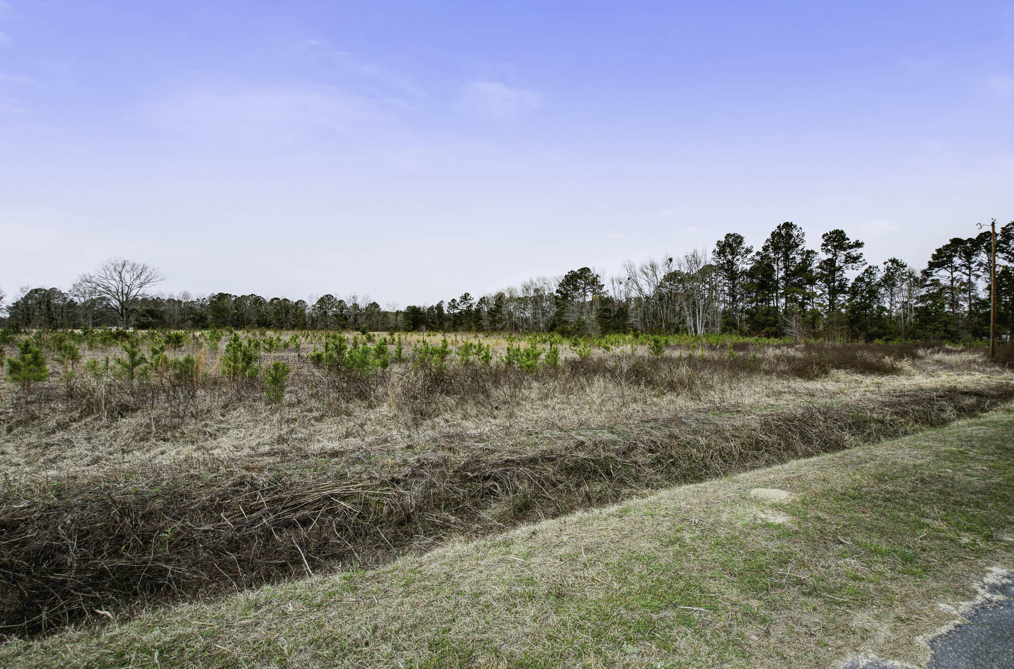 0 Burr Hill Road Cottageville, SC 29435 - Photo 7 of 8 Lot 1 (7)