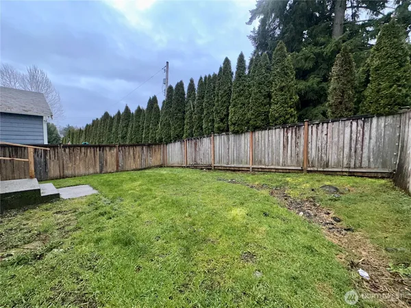 a view of a backyard with large tree and wooden fence