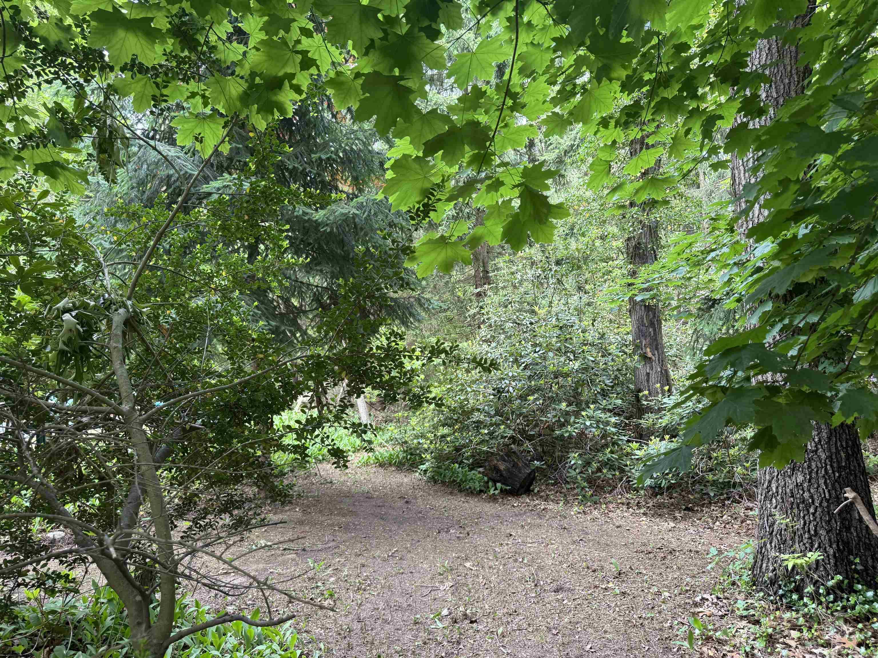 144 Pitney Road Absecon, NJ 08201 - Photo 6 of 47 a backyard of a house with lots of trees