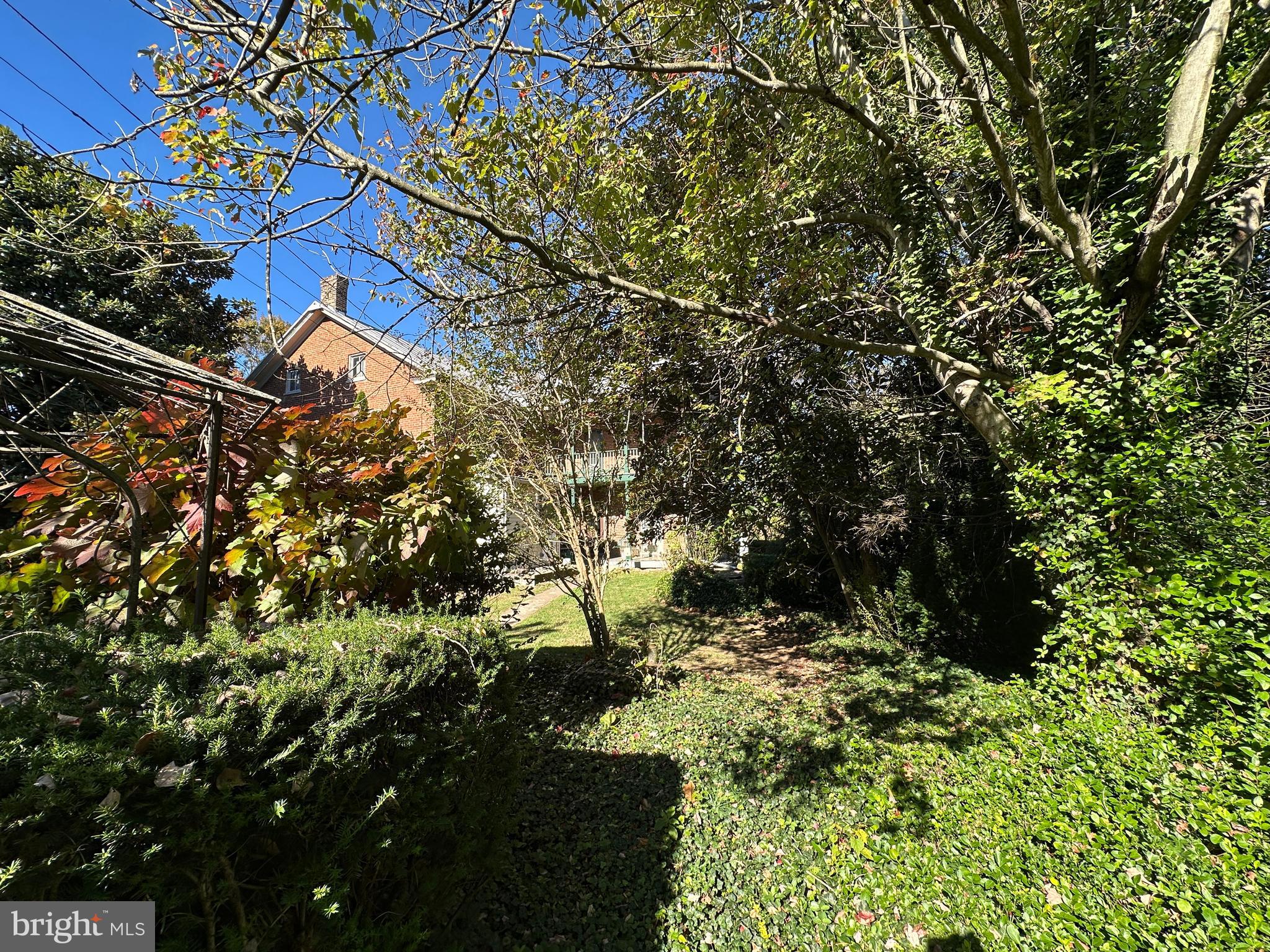 12429 Angle Drive Clear Spring, MD 21722 - Photo 35 of 129 a view of a yard with plants and large trees