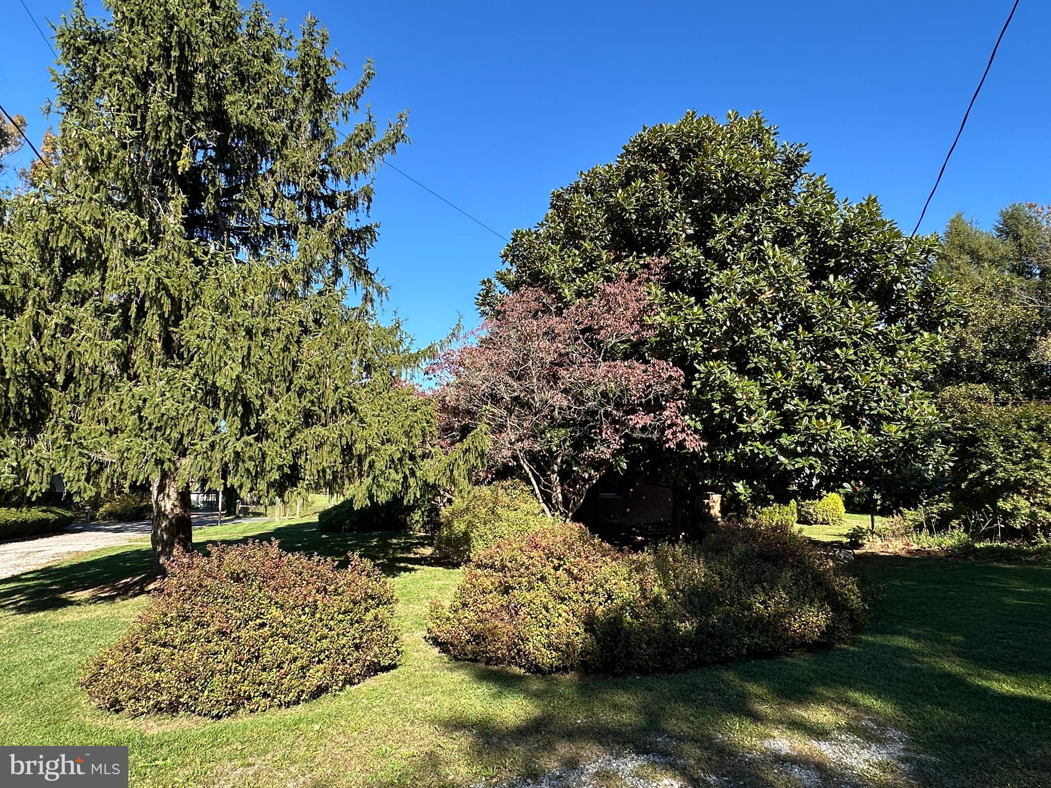 12429 Angle Drive Clear Spring, MD 21722 - Photo 45 of 129