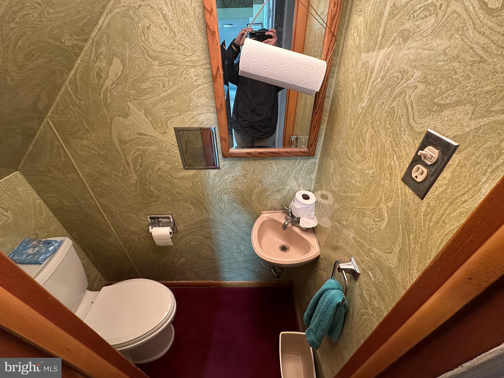 12429 Angle Drive Clear Spring, MD 21722 - Photo 79 of 129 a bathroom with a toilet and a sink