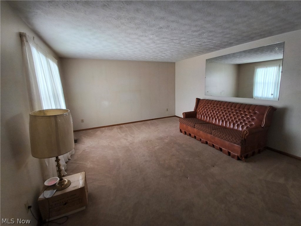 2672 Crackel Road Aurora, OH 44202 - Photo 10 of 38 Sitting room featuring plenty of natural light, carpet floors, and a textured ceiling