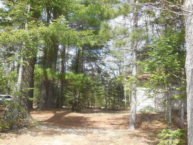 5091 Kokosing Road Hale, MI 48739 - Photo 23 of 62 1873924-22.JPG