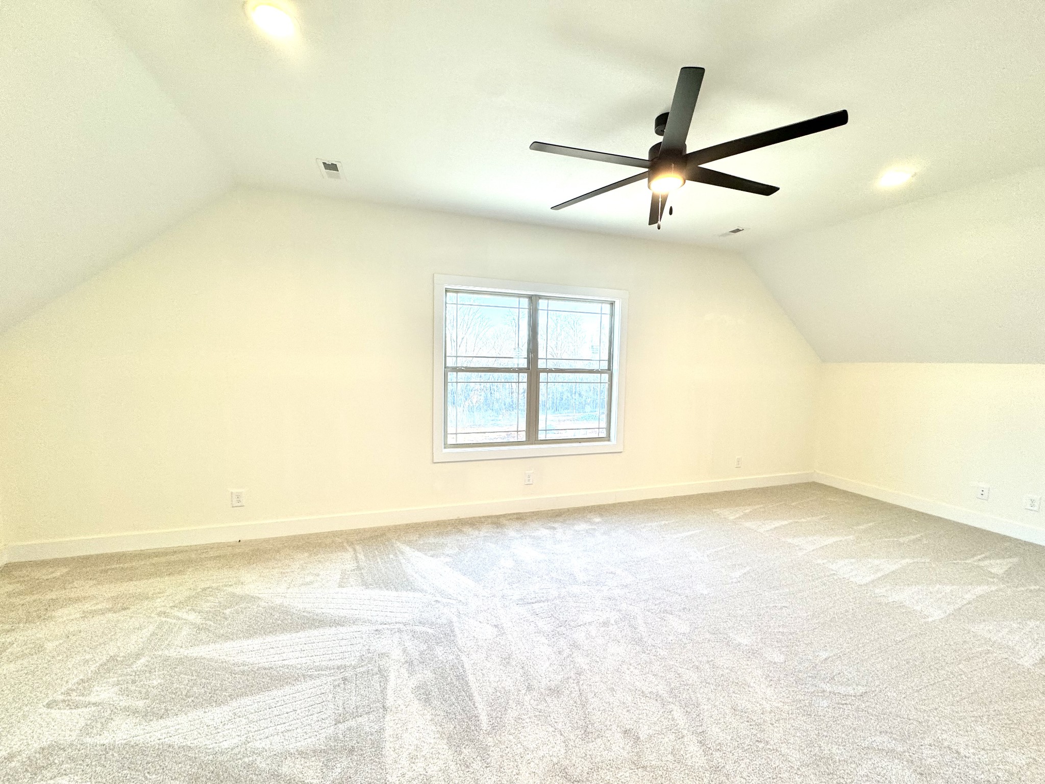 390 Young Lane Pleasant View, TN 37146 - Photo 45 of 59