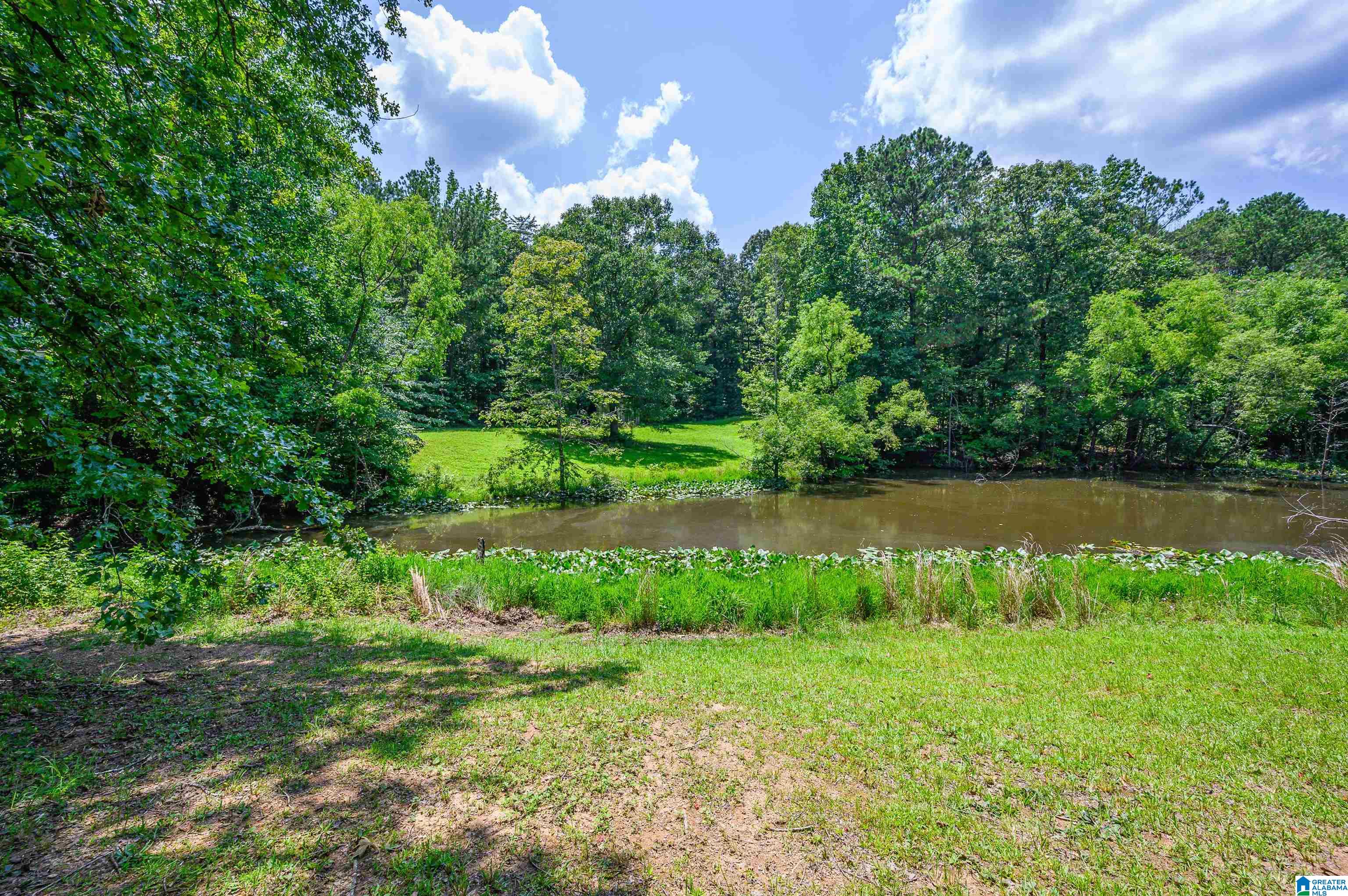 3019 Canterbury Road Moody, AL 35004 - Photo 58 of 68