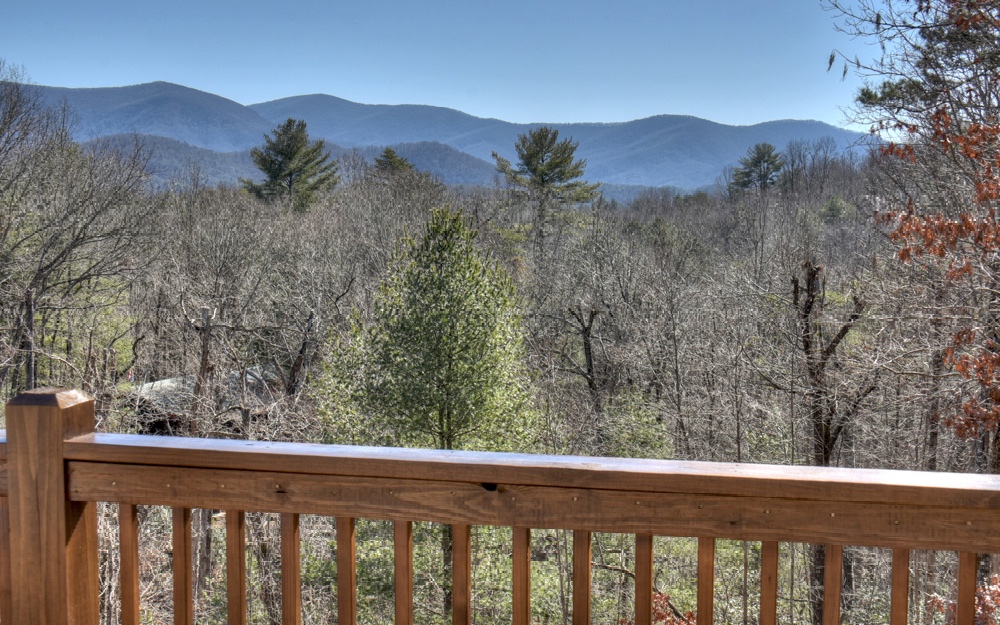 75 Beaver Court Blue Ridge, GA 30513 - Photo 3 of 4 Additional View