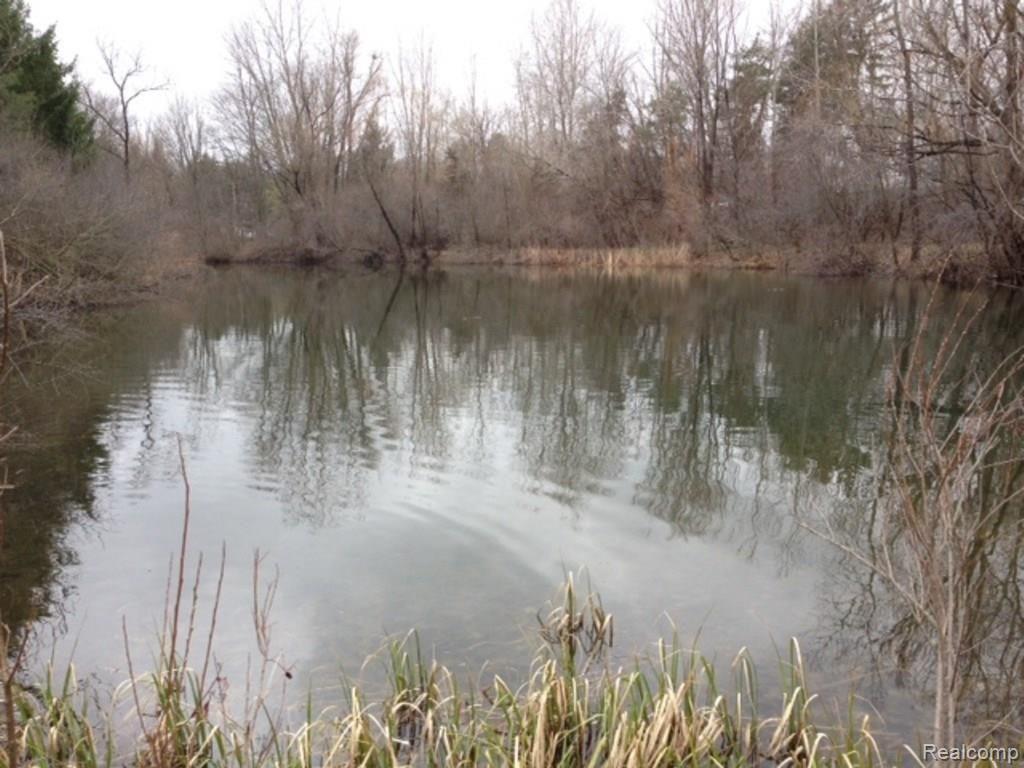 2nd Pond.jpg