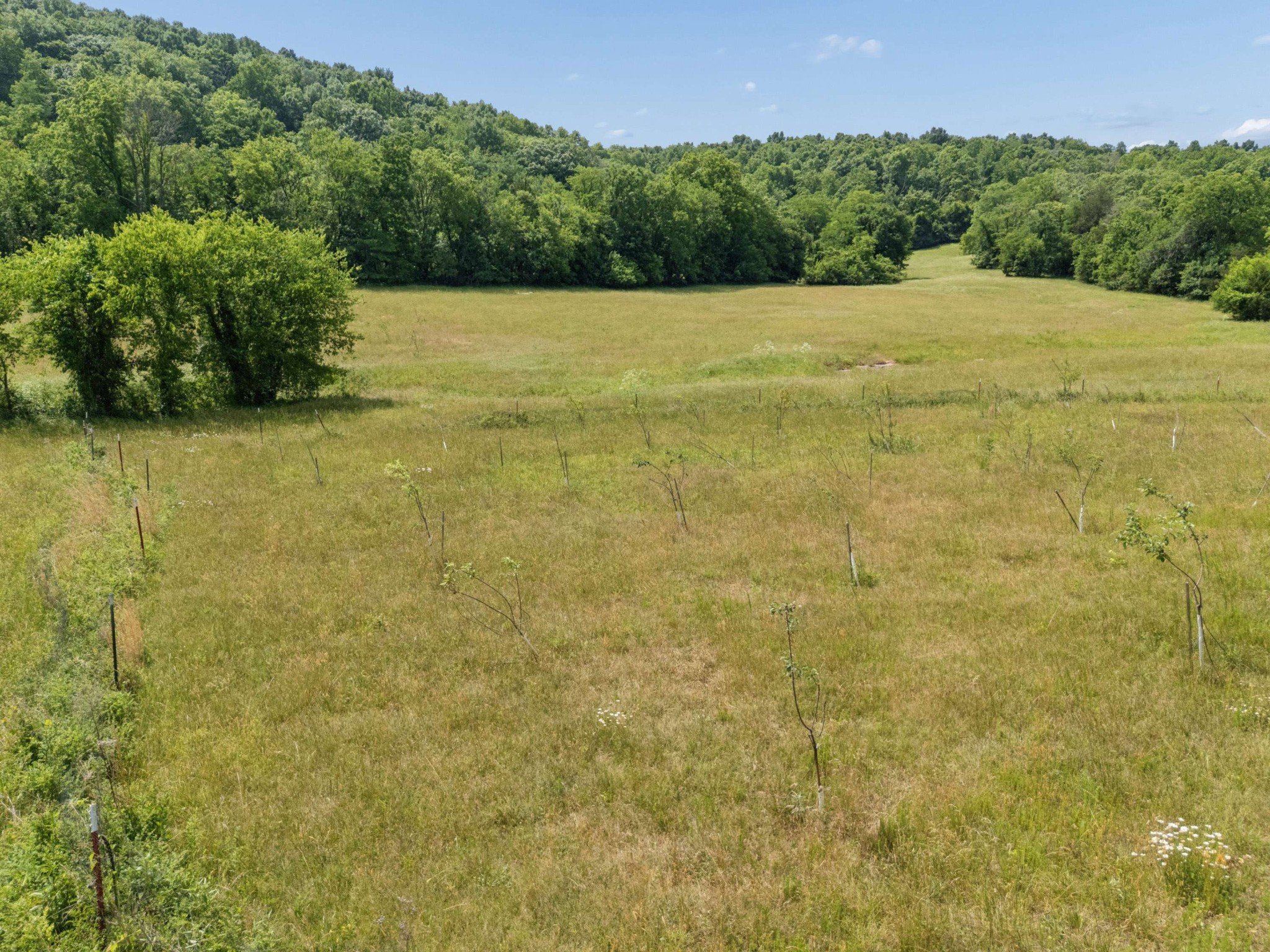 2063 Kennedy Creek Road Auburntown, TN 37016 - Photo 82 of 98