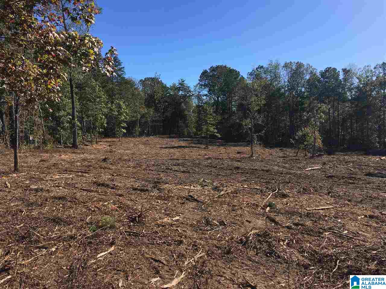 9150 Sunview Road, Unit 12 Warrior, AL 35180 - Photo 2 of 6