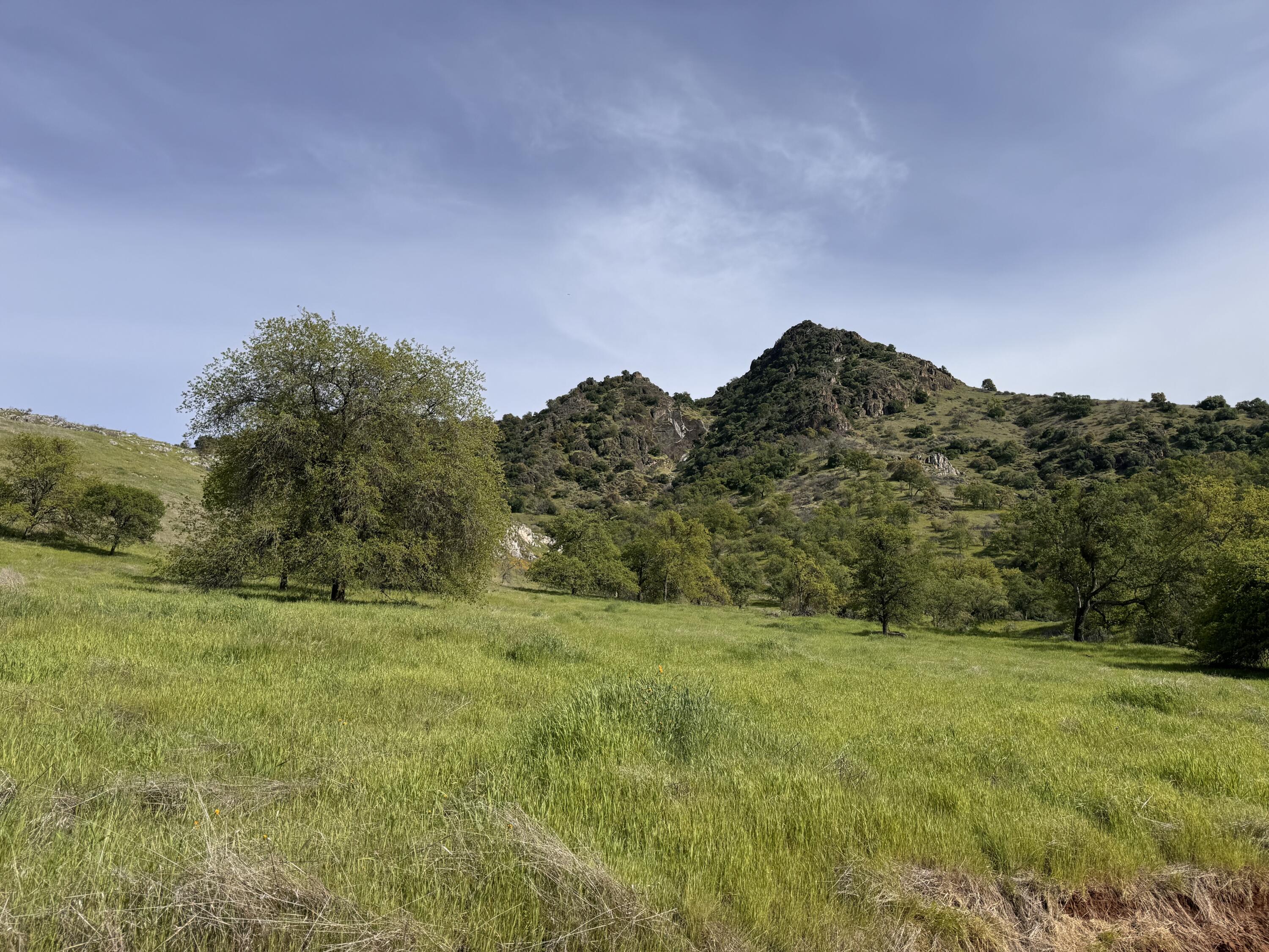 42065 Quail Run Drive Three Rivers, CA 93271 - Photo 12 of 29 IMG_7811