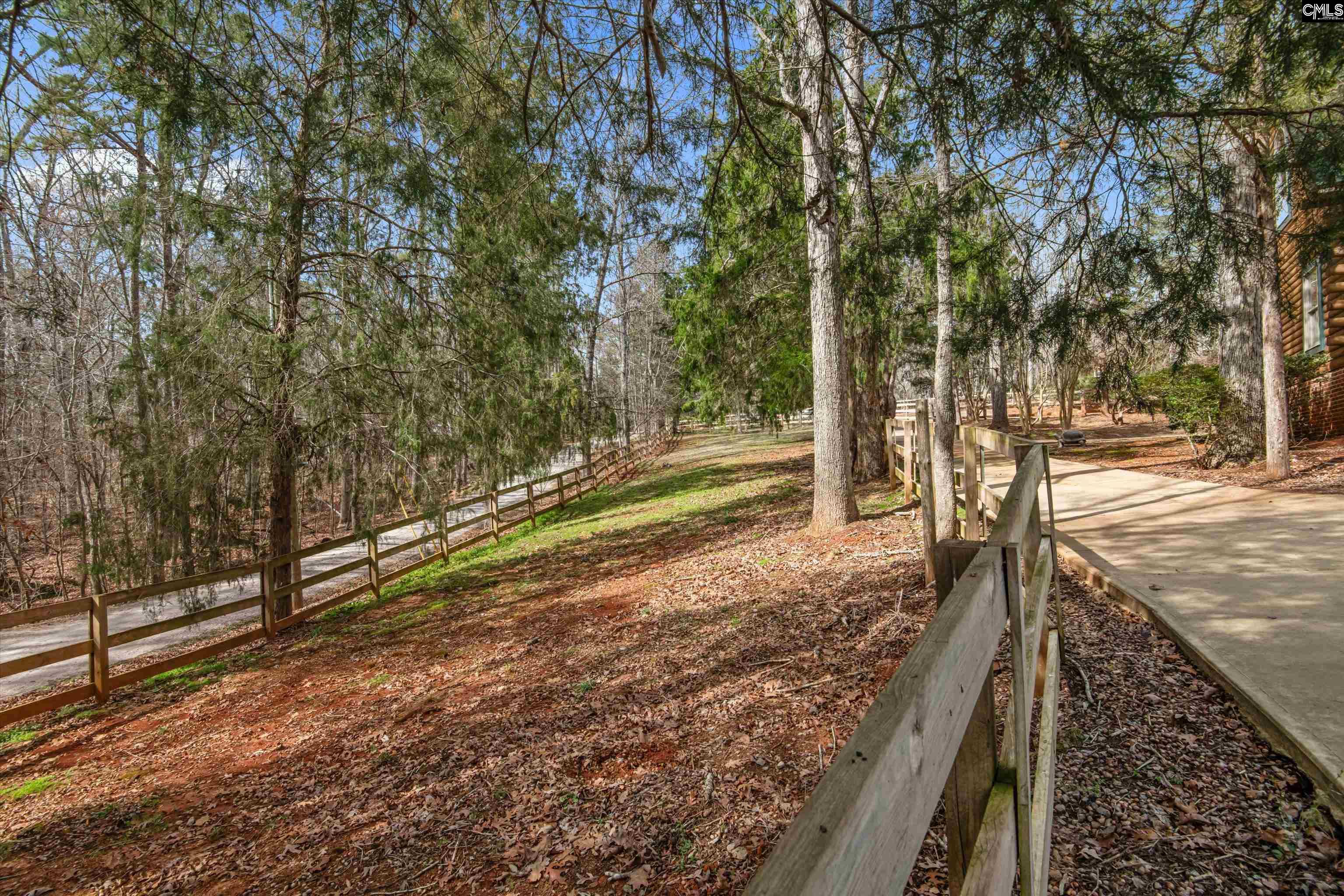 129 Tiger Paw Lane Irmo, SC 29063 - Photo 59 of 71