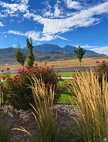 1140 Summit Ridge Parkway Santaquin, UT 84655 - Photo 25 of 29 View from living room