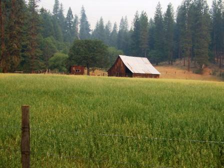112 Duncan Ranch Road Hayfork, CA 96041 - Photo 1 of 20 a view of outdoor space and yard