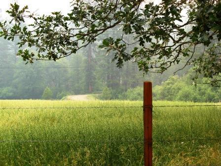112 Duncan Ranch Road Hayfork, CA 96041 - Photo 11 of 20
