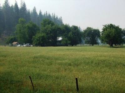 112 Duncan Ranch Road Hayfork, CA 96041 - Photo 16 of 20 a view of a field with trees in the background