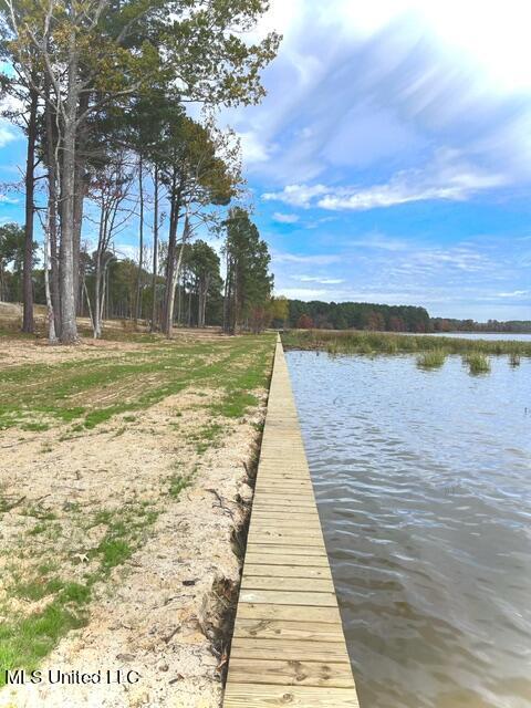 Lot 23 Neptune Shore Canton, MS 39046 - Photo 17 of 20 IMG_1624