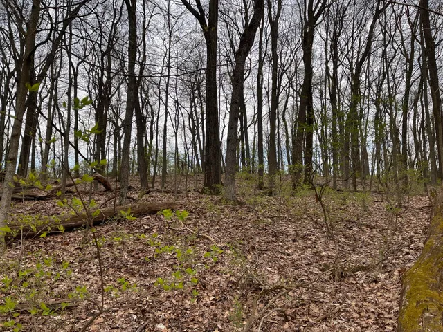 $1,121,700 | Undisclosed Address, Richland, MI 49083