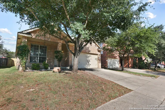a backyard of a house with yard and tree