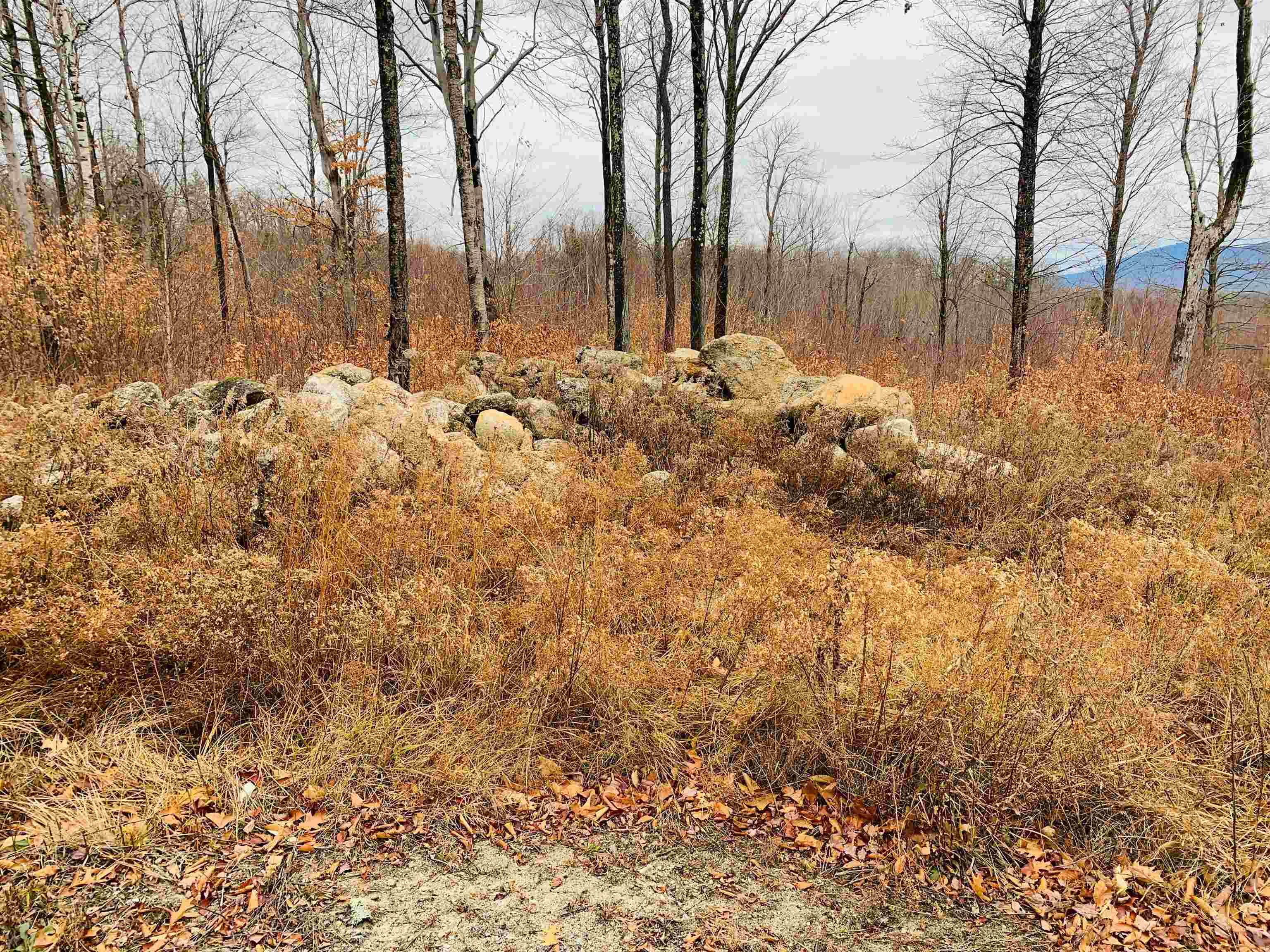 Meadow Road, Unit 39 Newbury, NH 03255 - Photo 2 of 4