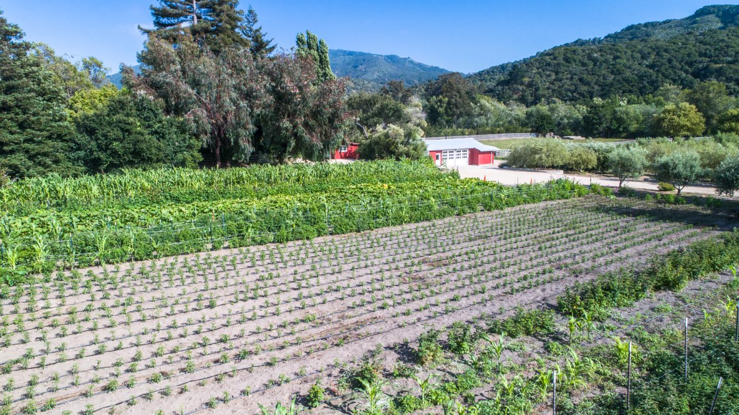 8990 West Carmel Valley Road Carmel Valley, CA 93923 - Photo 40 of 50 a green field with lots of trees in the background