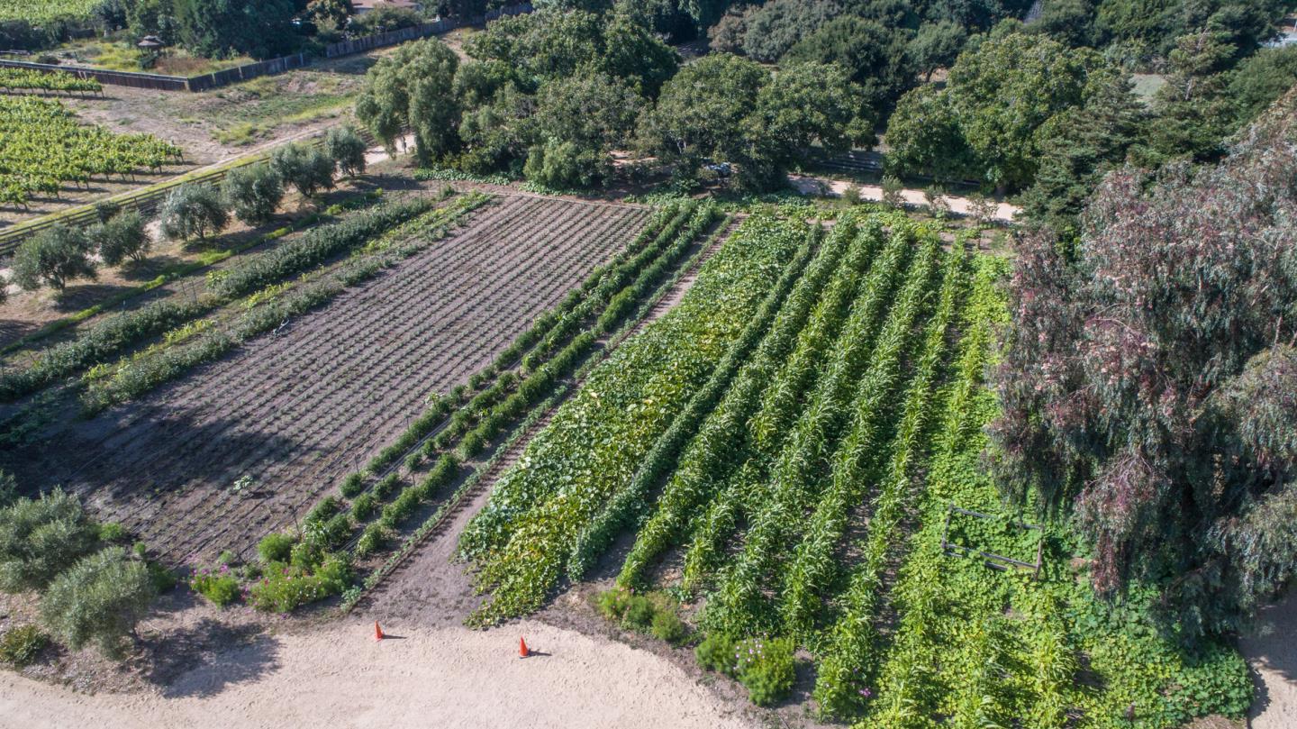 8990 West Carmel Valley Road Carmel Valley, CA 93923 - Photo 41 of 50 a view of a yard with plants and wooden fence