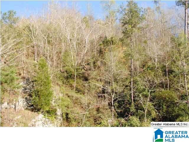 5 Wilson Road, Unit LOT 5 Calera, AL 35040 - Photo 3 of 3