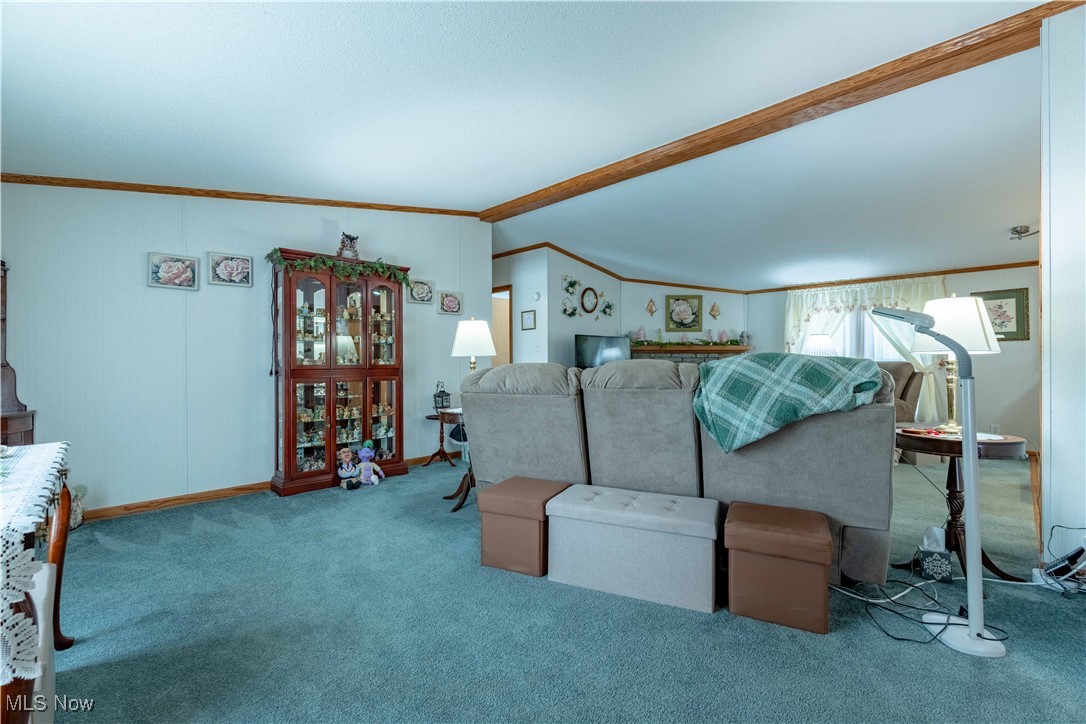 9275 Blade Road Northwest Minerva, OH 44657 - Photo 23 of 38 Gallery Image 23