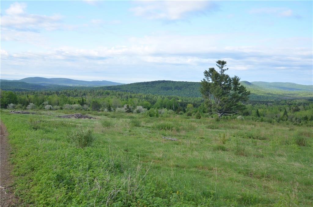 0 Graham Road Smyrna Mills, ME 04780 - Photo 8 of 14 Maine Land for Sale in Smyrna